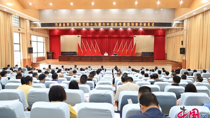 小标题：编程教育的兴起